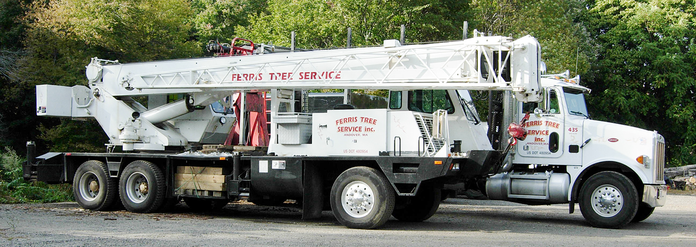 Ferris Tree Service Inc.